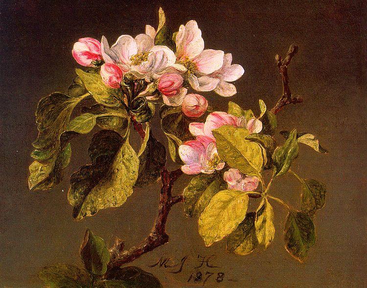 Martin Johnson Heade Apple Blossoms Sweden oil painting art